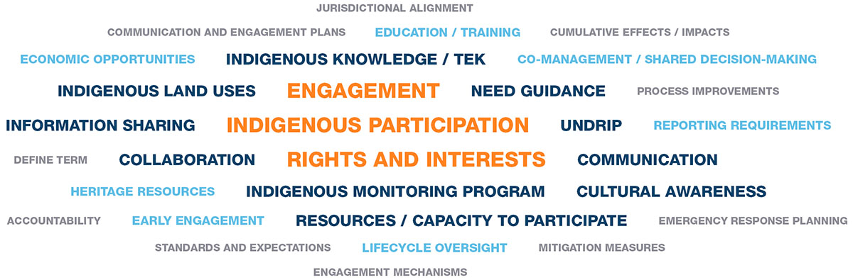 A word cloud of common themes from phase 1 engagement.