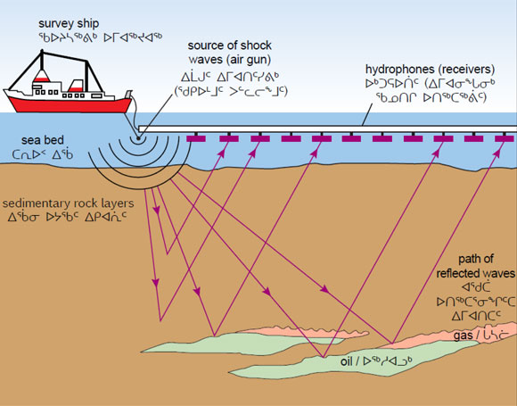 Seismic survey conducted to collect information on the geological conditions below the sea floor