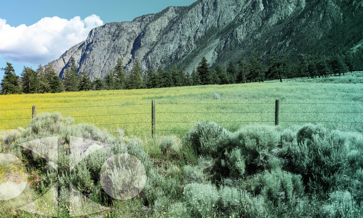 A large open field in Keremeos, British Columbia, Canada. Around the area is brush and a barbed wire fence, in the distance is the base of large mountains. There’s an oversized IAC logo in the corner.