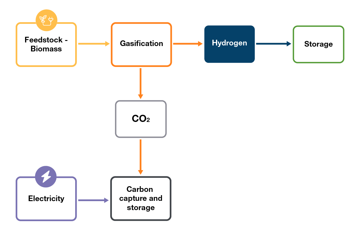 Figure H.4: Biomass gasification process overview
