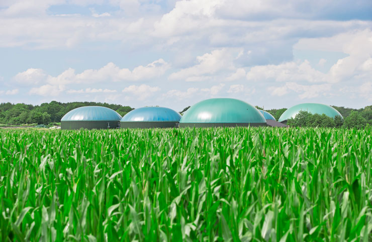 Modern biogas plant with crops in the foreground, the biogas plant is in focus along the horizon