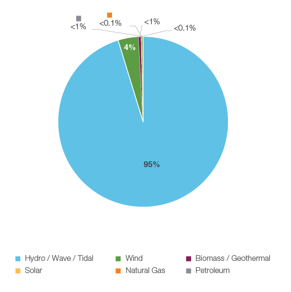 Figure 17: Electricity Generation by Fuel Type, 2018