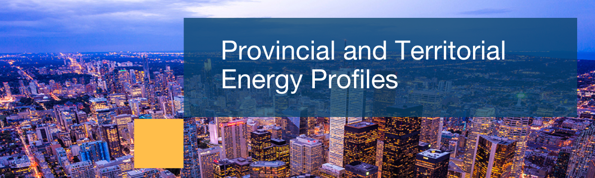 Explore the CER’s updated Provincial and Territorial Energy Profiles to learn about how Canadians consume, produce and use energy